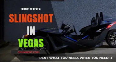 Slinging Fun in Sin City: Your Guide to Renting a Slingshot in Vegas