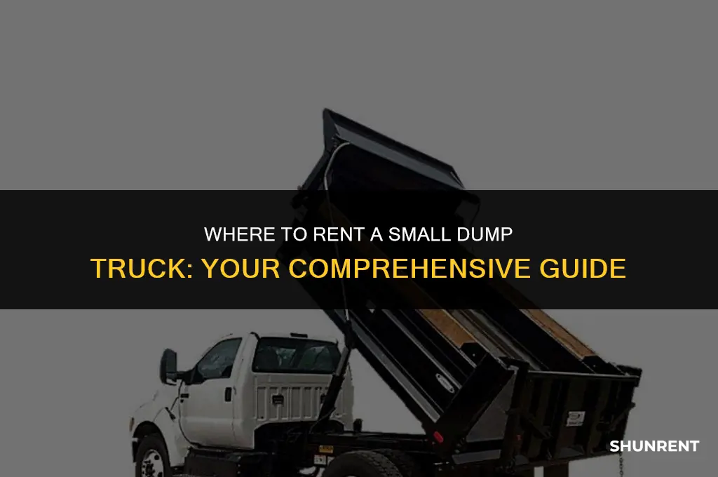 where to rent a small dump truck