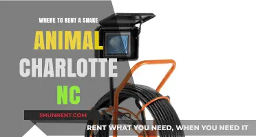 Rent a Snake in Charlotte, NC: Top Locations Guide