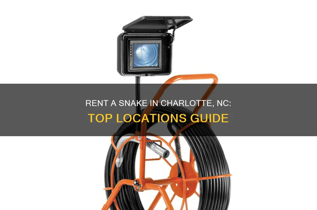 where to rent a snake animal charlotte nc