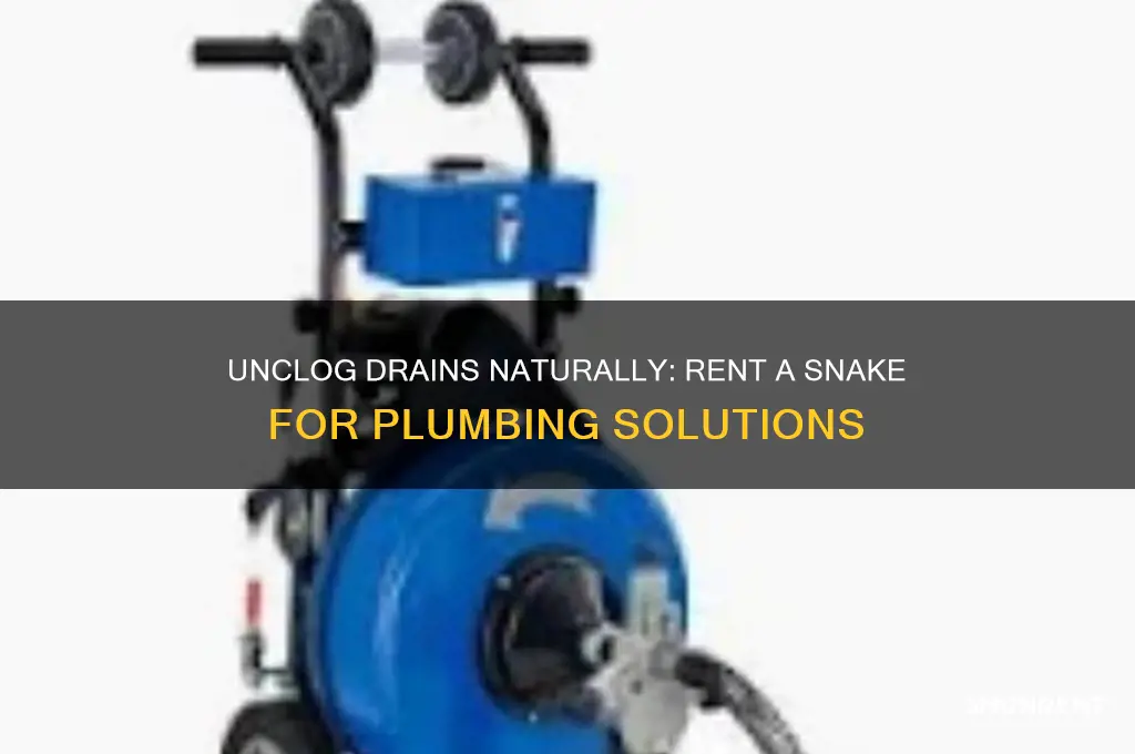 where to rent a snake for plumbing