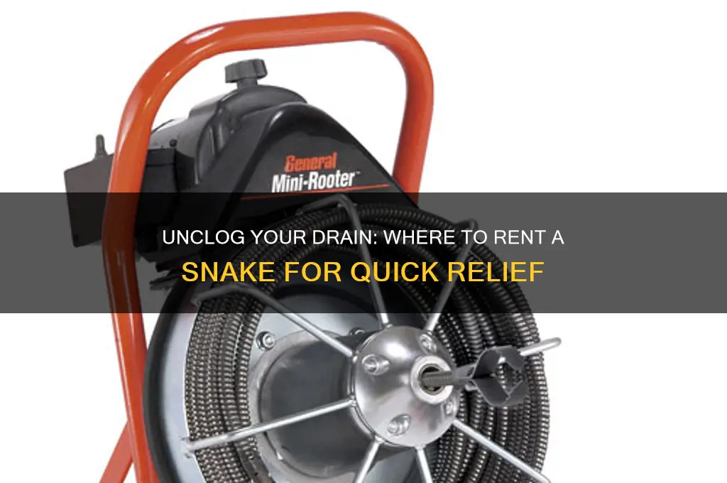 where to rent a snake to unplug my drain