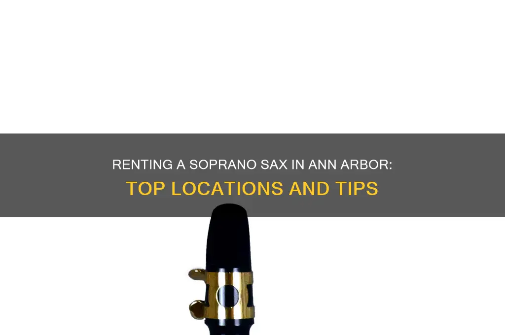 where to rent a soprano sax ann arbor