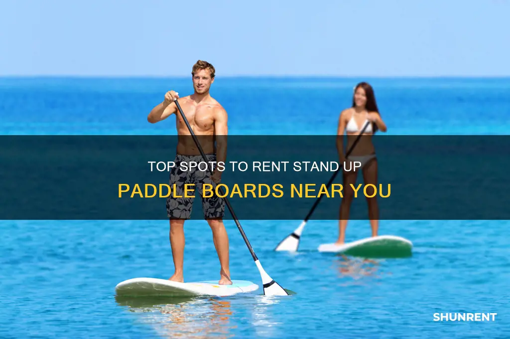 where to rent a stand up paddle board