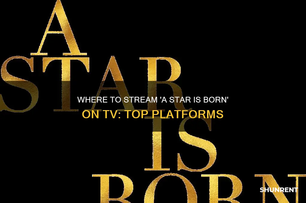where to rent a star is born on tv
