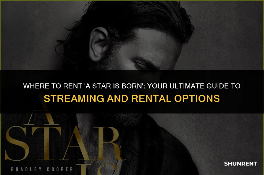 where to rent a star is born