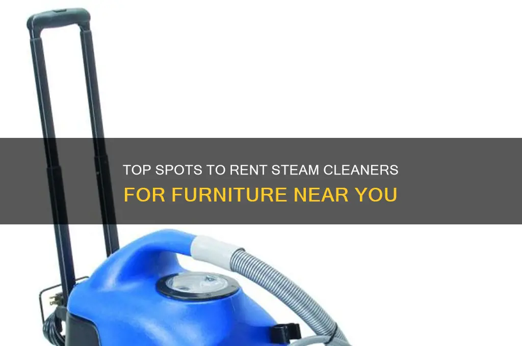 where to rent a steam cleaner for furniture