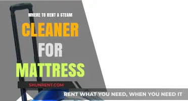 Top Spots to Rent Steam Cleaners for Mattress Cleaning