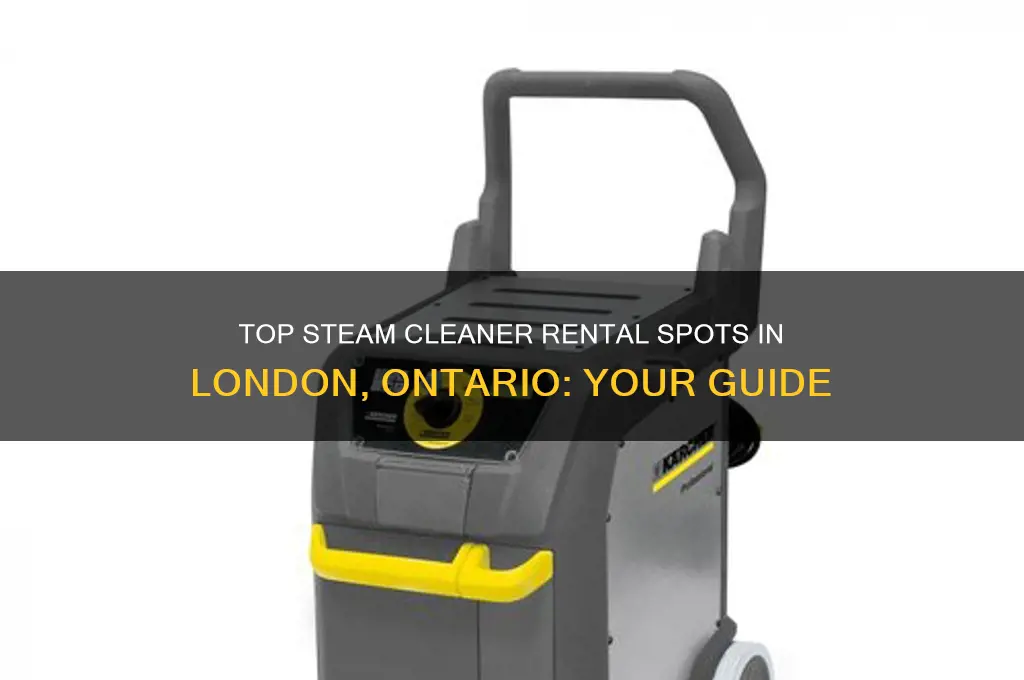 where to rent a steam cleaner london ontario