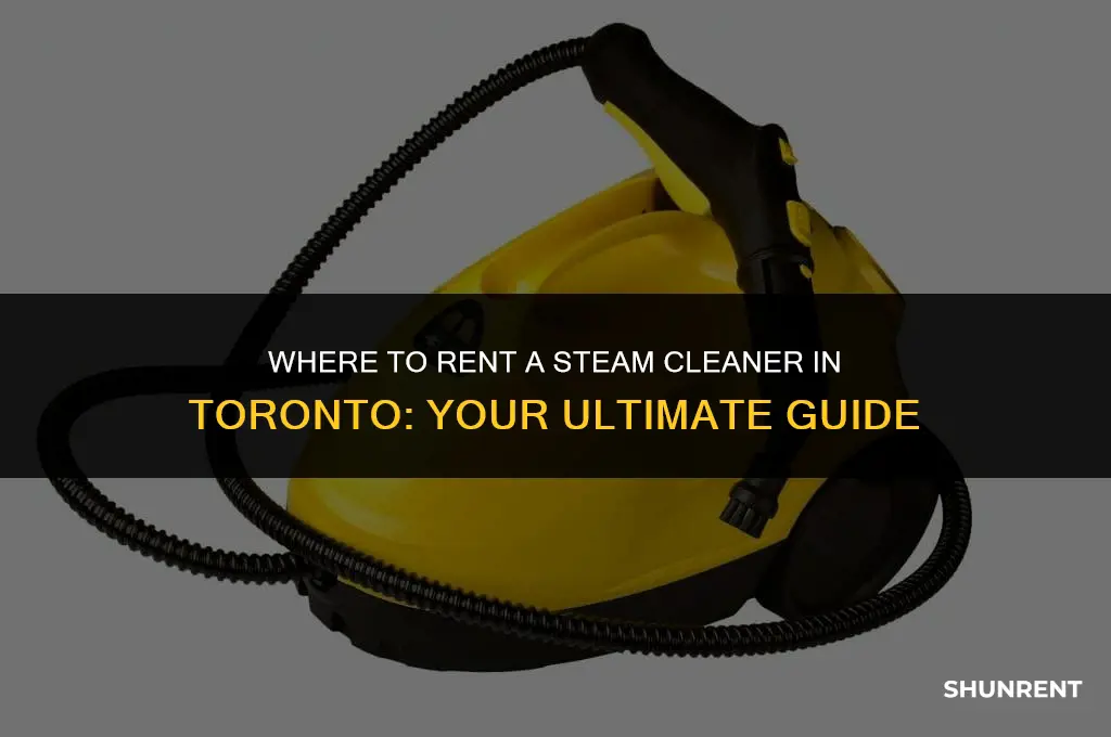where to rent a steam cleaner toronto