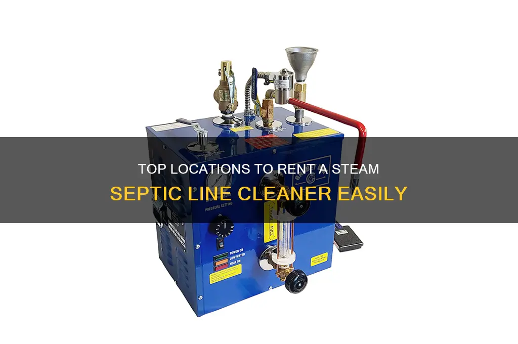 where to rent a steam spetic line cleaner