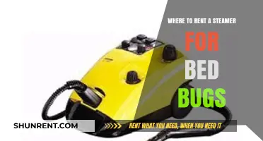 Effective Bed Bug Solutions: Top Steamer Rental Locations Near You