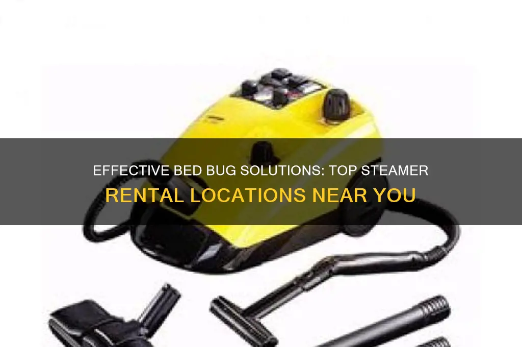 where to rent a steamer for bed bugs