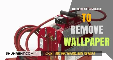 Best Places to Rent a Wallpaper Steamer for Easy Removal