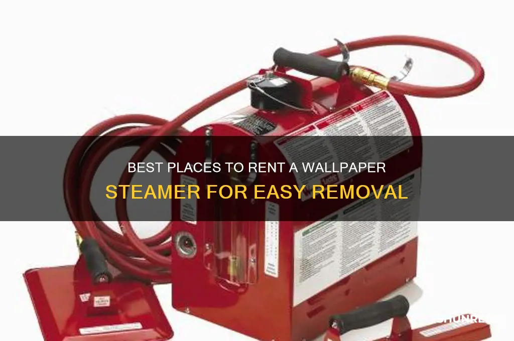 where to rent a steamer to remove wallpaper