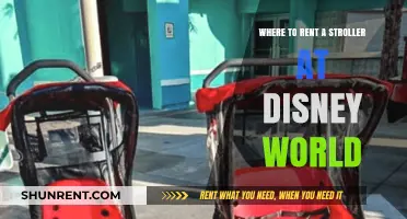 Renting Strollers at Disney World: Top Locations for Family Convenience