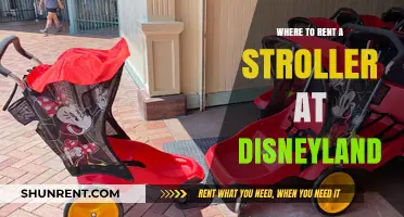 Stroller Rentals at Disneyland: A Comprehensive Guide for Families