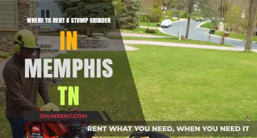 Renting Stump Grinders in Memphis: Top Local Options and Tips