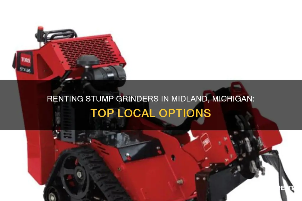 where to rent a stump grinder in midland michigan