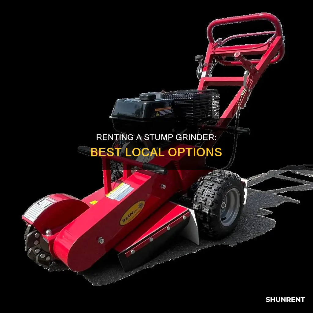 where to rent a stump grinder in my area