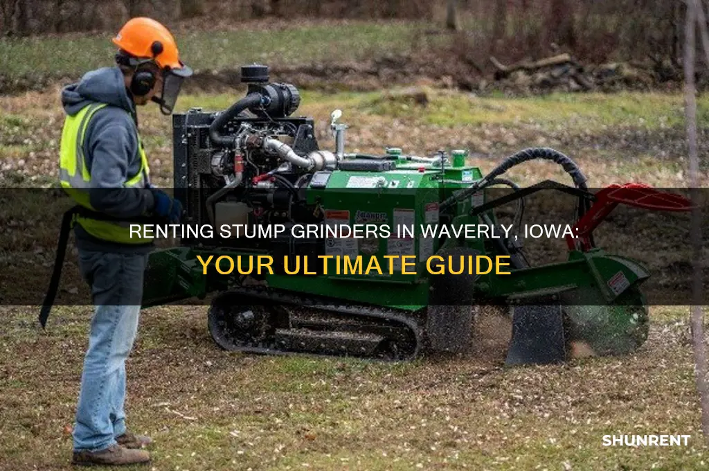 where to rent a stump grinder in waverly iowa
