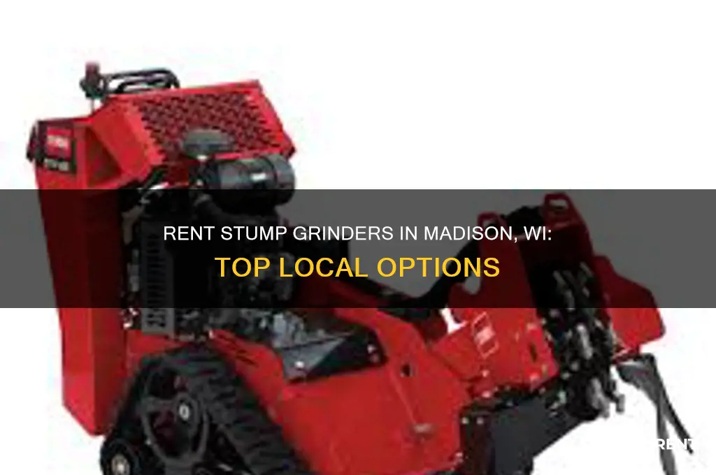 where to rent a stump grinder madison wi