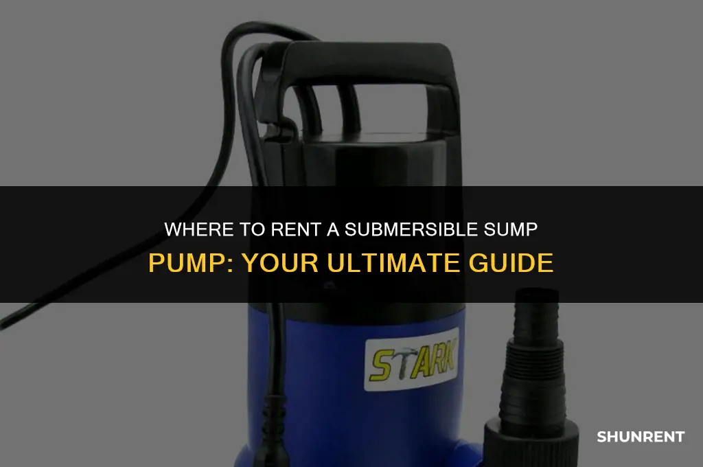 where to rent a submersible sump pump