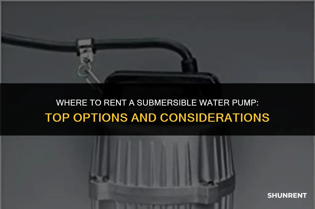 where to rent a submersible water pump
