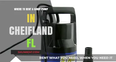 Renting Sump Pumps in Chiefland, FL: Top Local Options