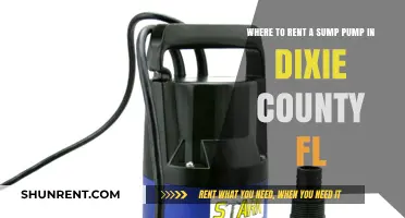Renting Sump Pumps in Dixie County, FL: Your Local Guide