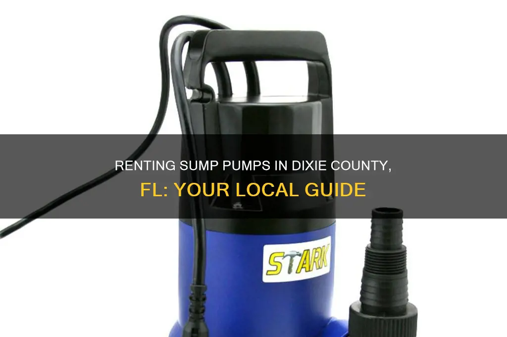 where to rent a sump pump in dixie county fl