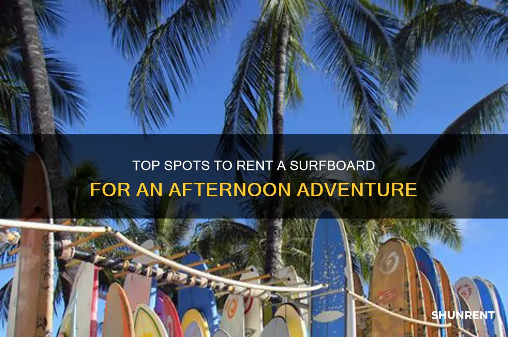 where to rent a surfboard for an afternoon