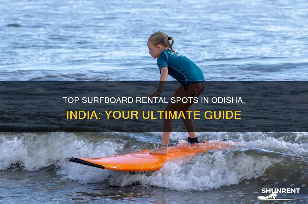 where to rent a surfboard in odisha india