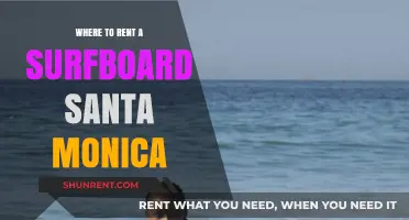 Surf's Up Santa Monica: Your Guide to Renting the Perfect Board