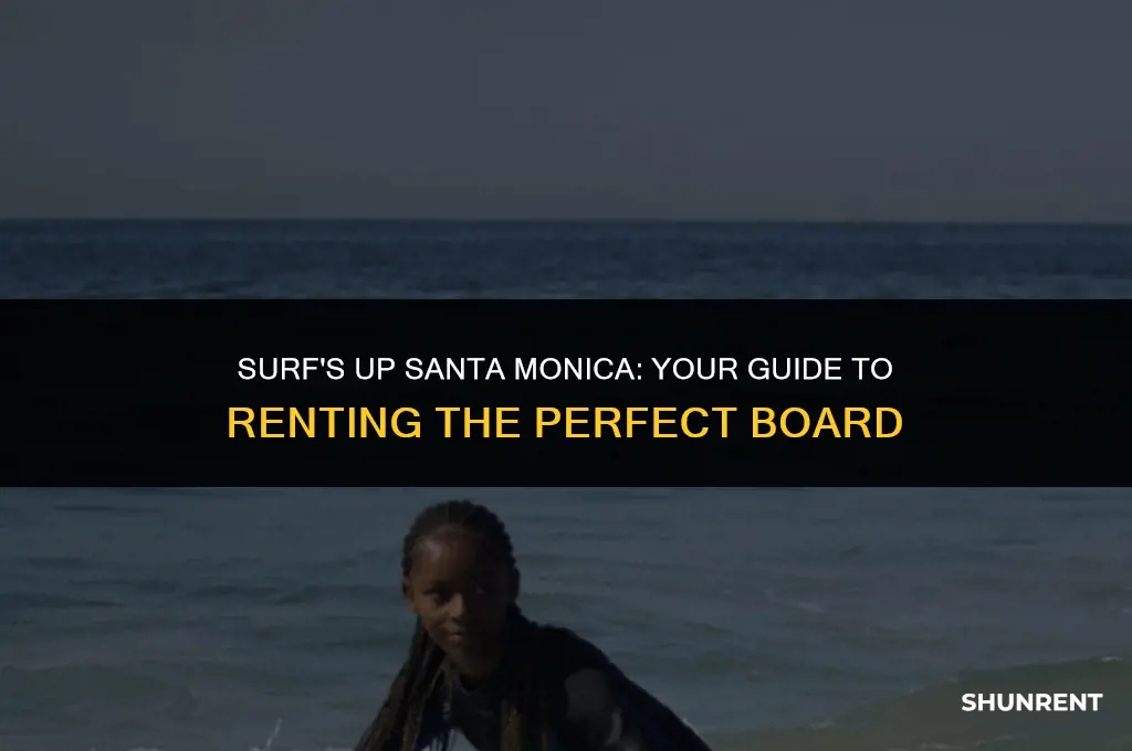 where to rent a surfboard santa monica