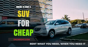 Affordable SUV Rentals: Where to Find the Best Deals