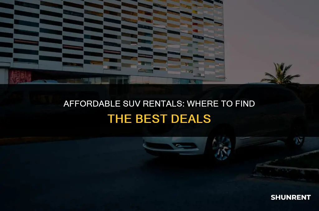 where to rent a suv for cheap