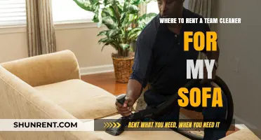 Top Tips for Renting a Professional Team to Clean Your Sofa