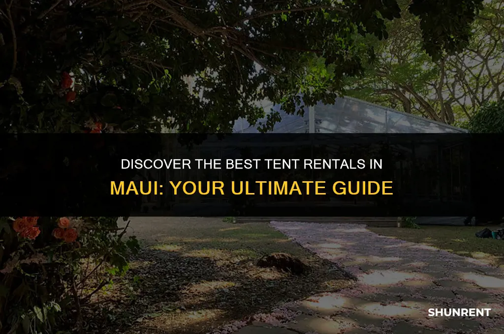 where to rent a tent in maui