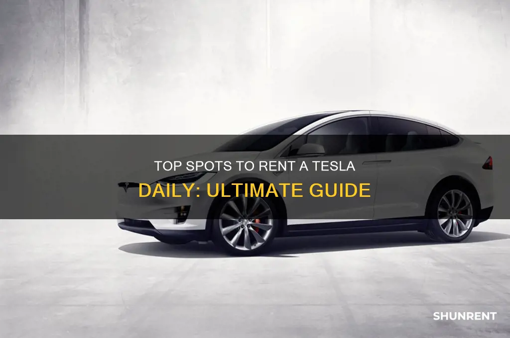 where to rent a tesla for a day