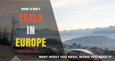 Where to Rent a Tesla in Europe: Top Picks and Tips