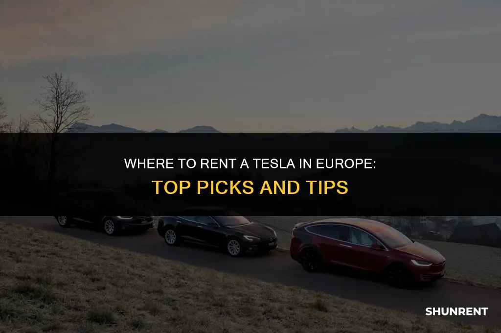 where to rent a tesla in europe