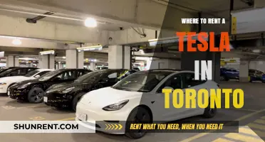 Exploring Toronto in Style: Your Guide to Renting a Tesla