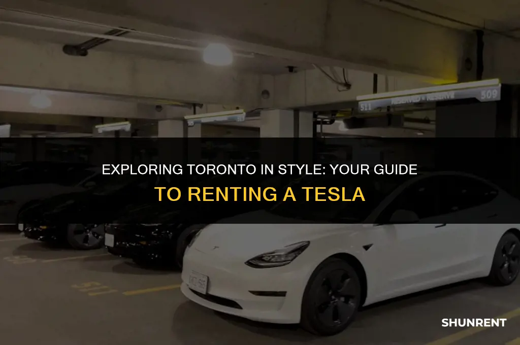 where to rent a tesla in toronto