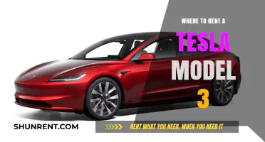 Where to Rent a Tesla Model 3: Top Options for Your Next Drive
