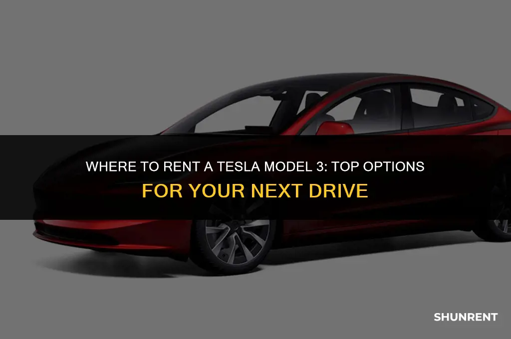 where to rent a tesla model 3