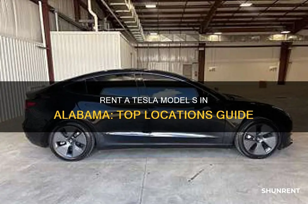where to rent a tesla model s in alabama