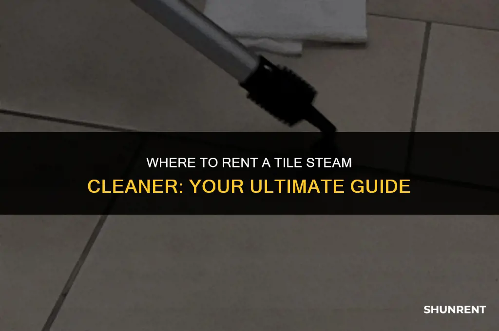 where to rent a tile steam cleaner