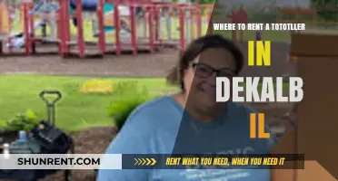 Top Toddler Rental Spots in DeKalb, IL: Your Ultimate Guide
