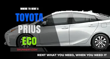 Eco-Friendly Wheels: Your Guide to Renting a Toyota Prius Eco